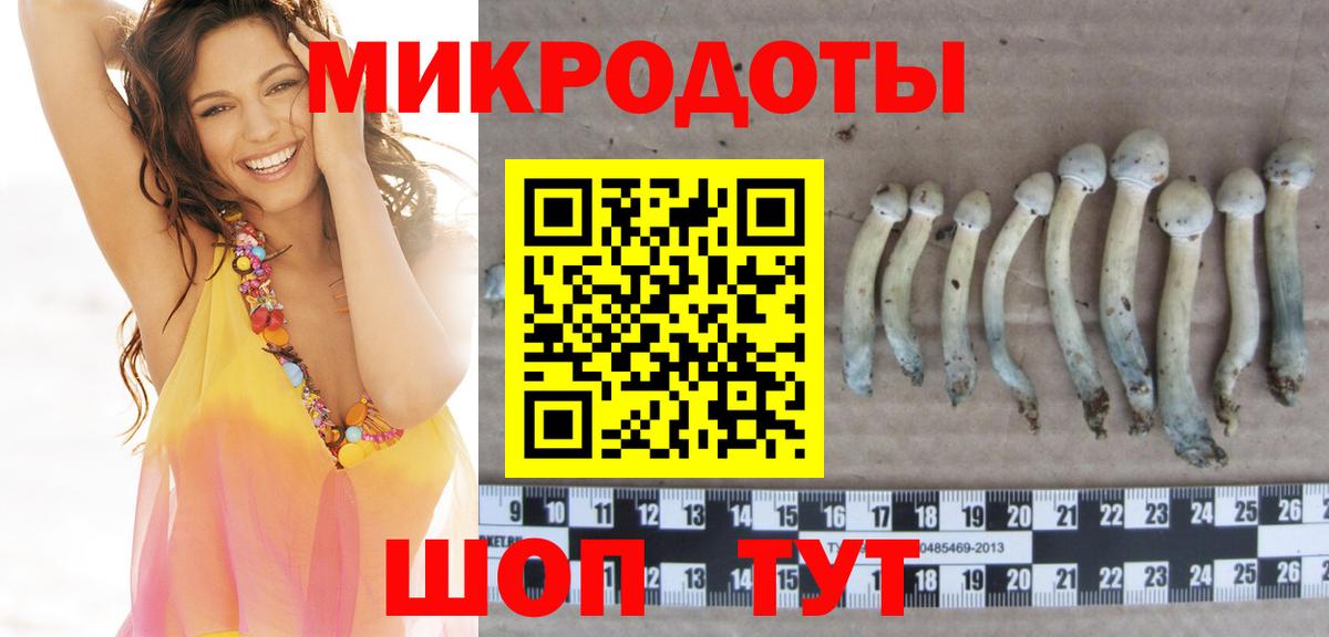 купить наркоту  Вход с VPN  Псилоцибиновые грибы ЛСД  Ессентуки  Галлюциногенные грибы прущие грибы 
