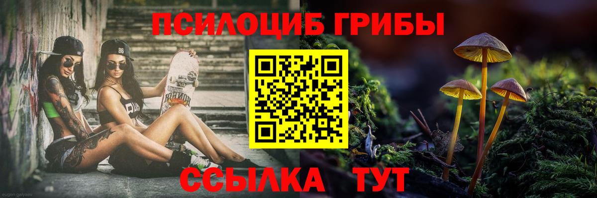 Псилоцибиновые грибы GOLDEN TEACHER Ессентуки