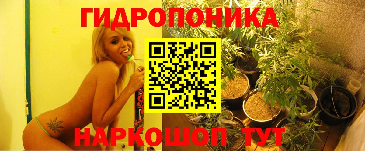 Конопля SATIVA & INDICA Ессентуки